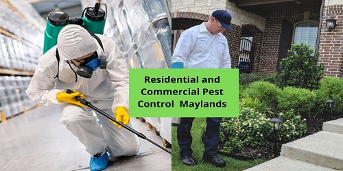 Residential & Commercial Pest Control Maylands